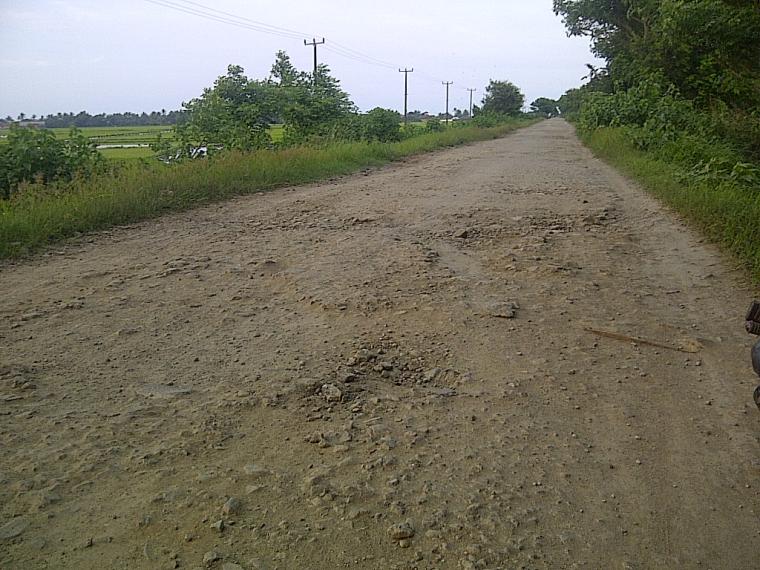 Kondisi jalan yang rusak di Tanara, Kabupaten Serang (Herlina)