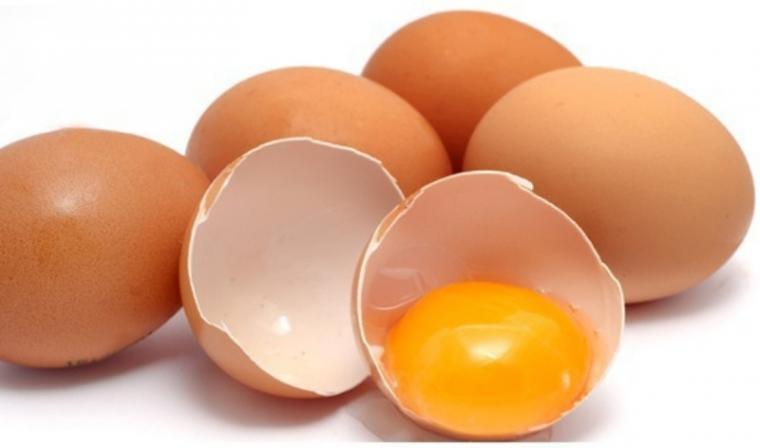 Image result for Bahaya Telur Mentah Bagi Kesehatan