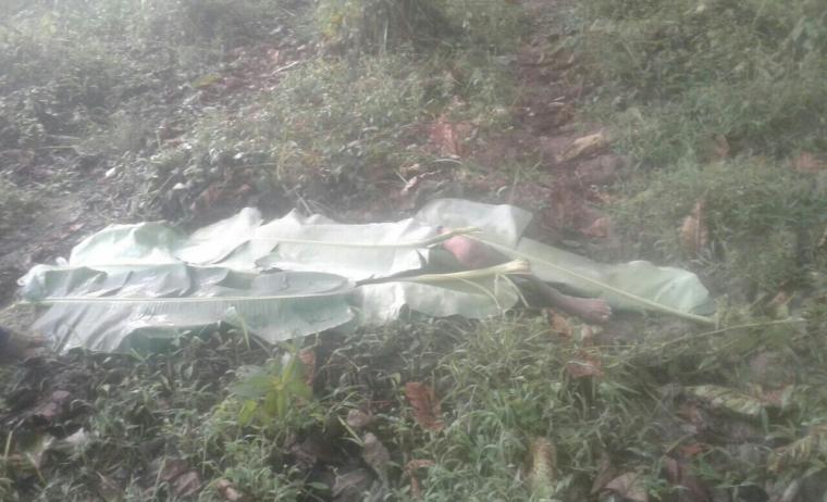 Mayat laki-laki tanpa identitas ditemukan di perkebunan kayu gudang 06, Desa Nanggung, Kecamatan Kopo, Kabupaten Serang. (Foto: Ist)