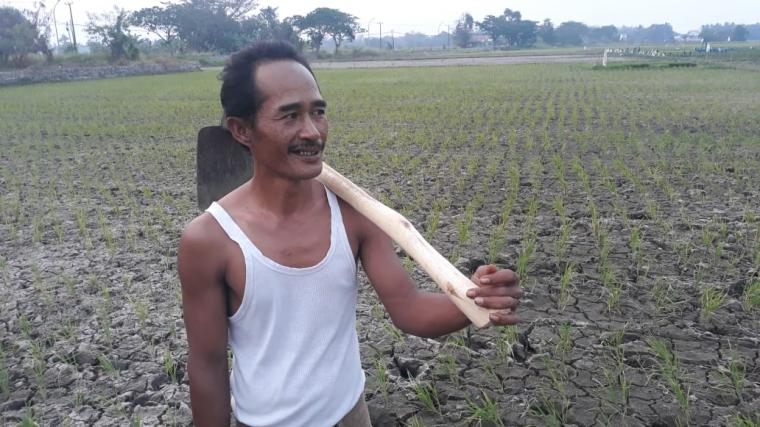 Bahrul Ulum, salah satu petani di Kampung Kadi Karang, Desa Sindang Haur, Kecamatan Ciruas, Kabupaten Serang, Banten. (Foto: TitikNOL)