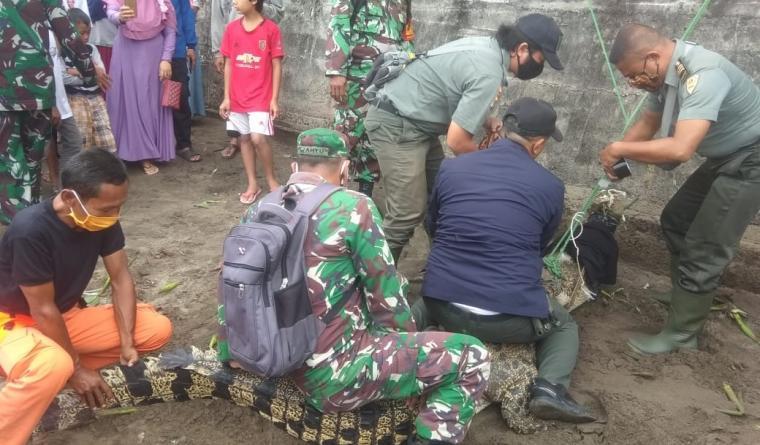 Buaya muara yang ditangkap BKSDA Klas I Serang dibantu warga Kampung Ciparay, Desa Cinangka, Kabupaten Serang. (Dok: TitikNOL)