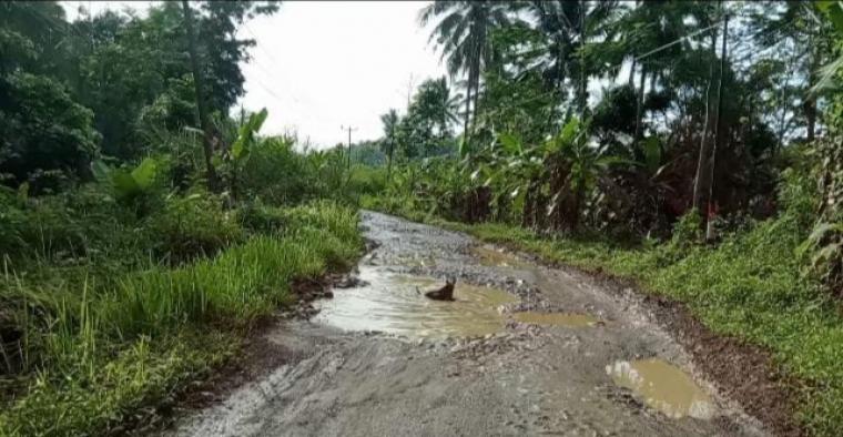 Kondisi jalan penghubung Desa Cimandiri-Desa Cibarengkok, Kecamatan Panggarangan Kabupaten Lebak. (Foto: TitikNOL)