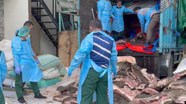 Penyelundupan 2,9 ton daging babi ilegal, di Pelabuhan Merak, Kota Cilegon. (Foto: TitikNOL)