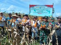 Kediaman almarhum Yuli, warga Kelurahan Lontarbaru, Kecamatan Serang, Kota Serang. (Foto: TitikNOL)